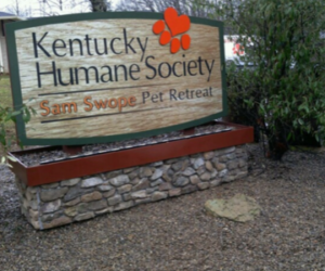 Pet retreat monument sign in Louisville, KY
